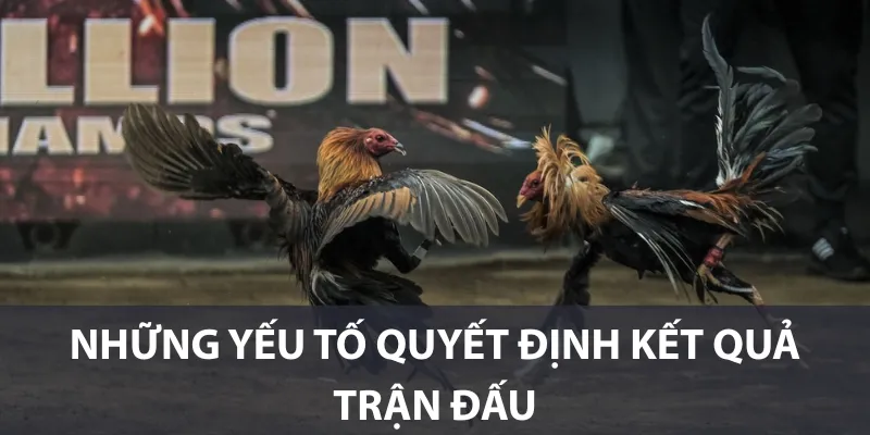 Những yếu tố quyết định kết quả trận đấu